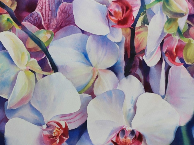 Orchidee, 42x45, acquerello su carta, 2016