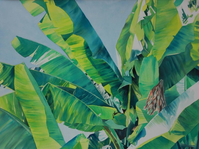 Palme, 54x75, acquerello su carta, 2015