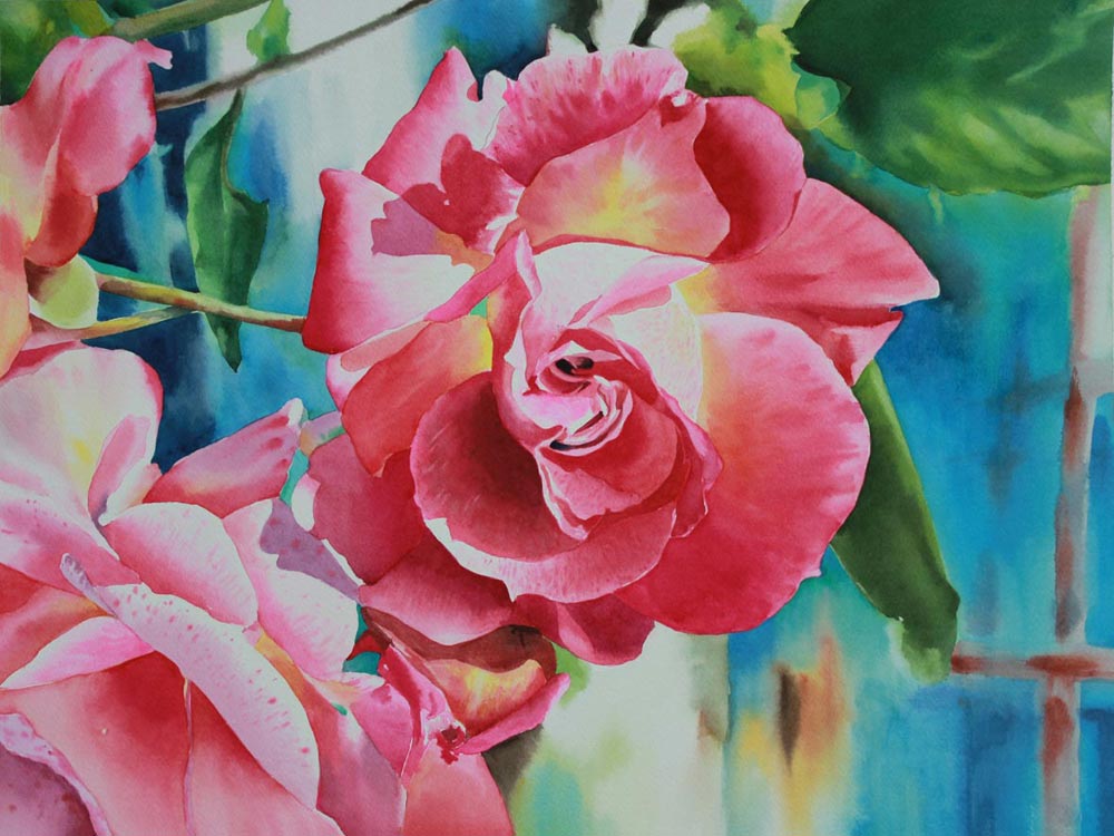 Rosa, 38x56, acquerello su carta, 2014